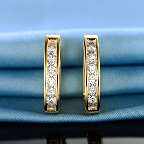 18k White Gold/Gold Plated Cubic Zirconia Simulated Diamond Hoop Earrings for Women Men