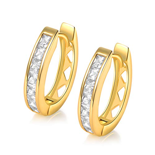 18k White Gold/Gold Plated Cubic Zirconia Simulated Diamond Hoop Earrings for Women Men