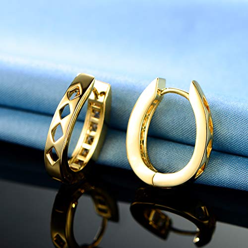 18k White Gold/Gold Plated Cubic Zirconia Simulated Diamond Hoop Earrings for Women Men