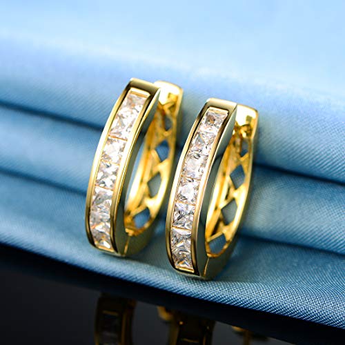 18k White Gold/Gold Plated Cubic Zirconia Simulated Diamond Hoop Earrings for Women Men